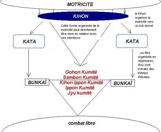 motricité et assauts conventionnels en karaté