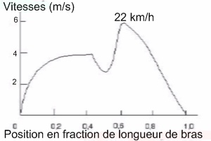 travail des hanches